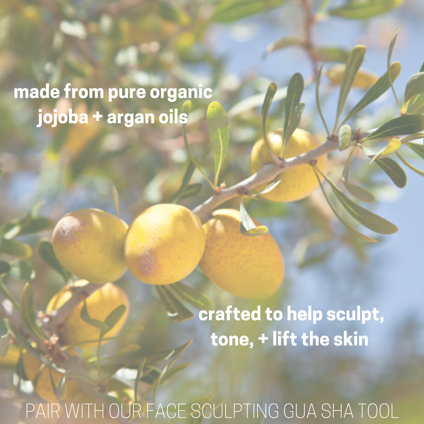 Sculpting Facial Oil