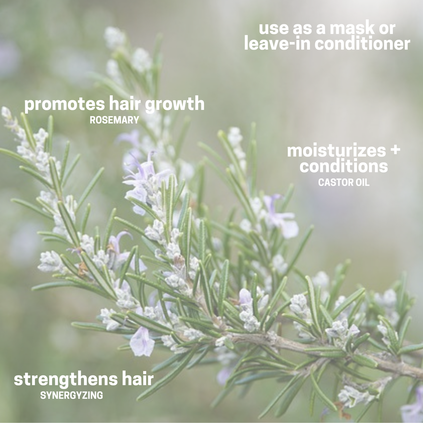 Rosemary Castor Oil